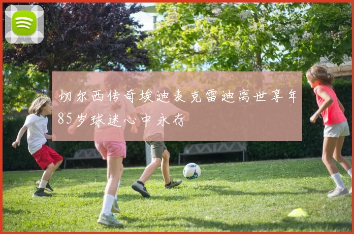 切尔西传奇埃迪麦克雷迪离世享年85岁球迷心中永存